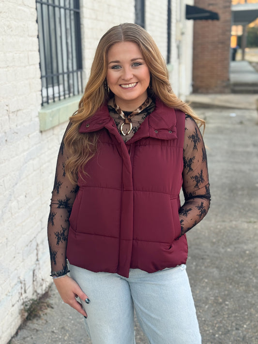 Windy Winter Puffer Vest