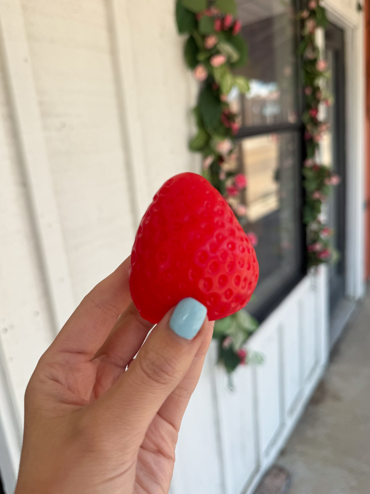 Strawberry Squishy